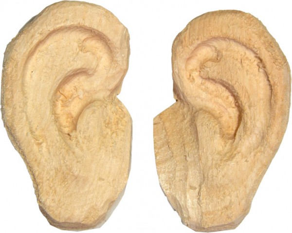 Ohren naturalistisch 10 cm