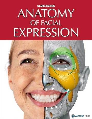 Anatomy of the facial Expression