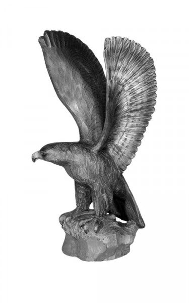 Adler - lauernde Stellung