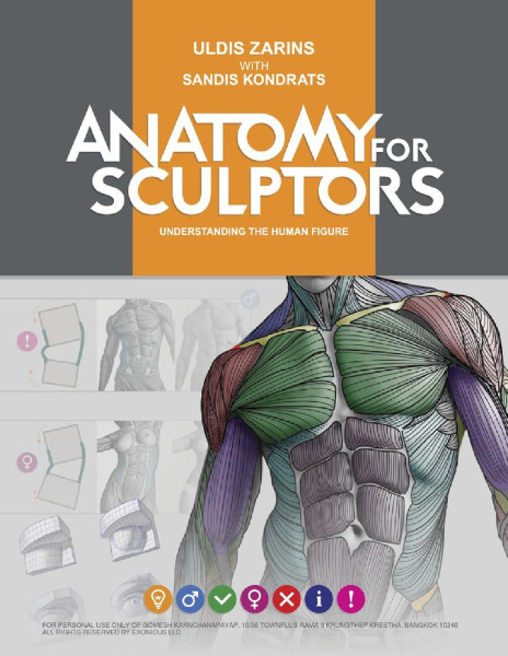 Anatomie for Sculptors