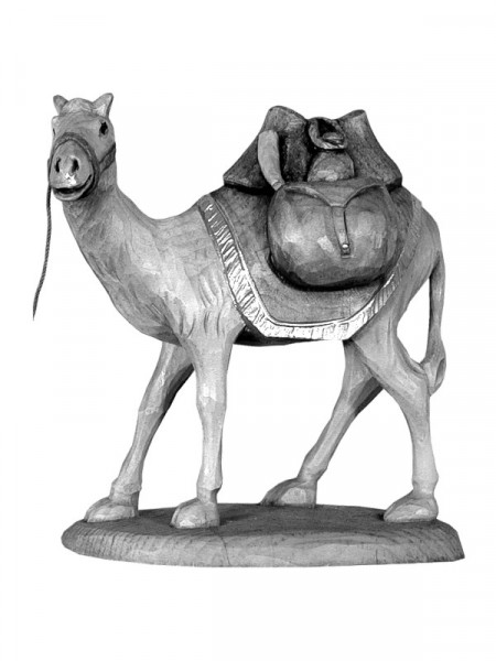 Kamel mit Sattel und Gepäck