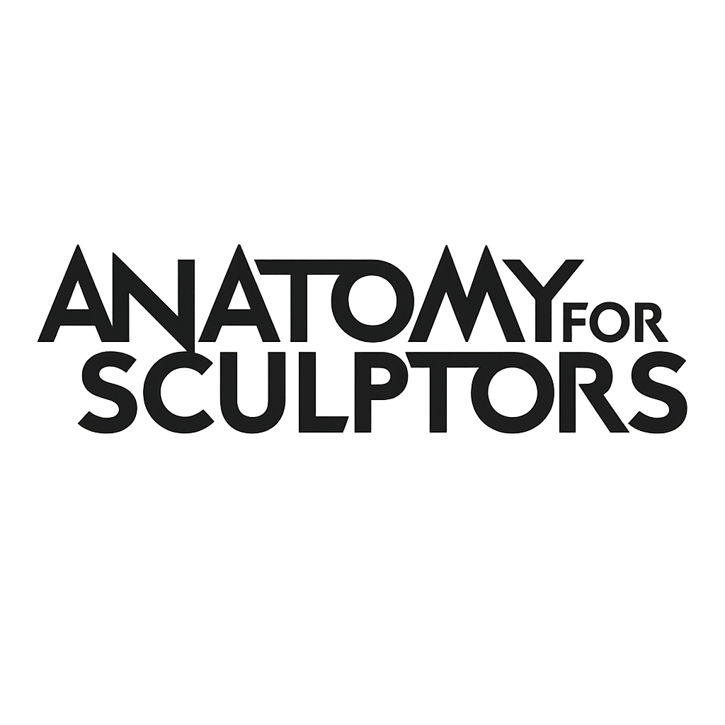 Anatomy For Sculptors