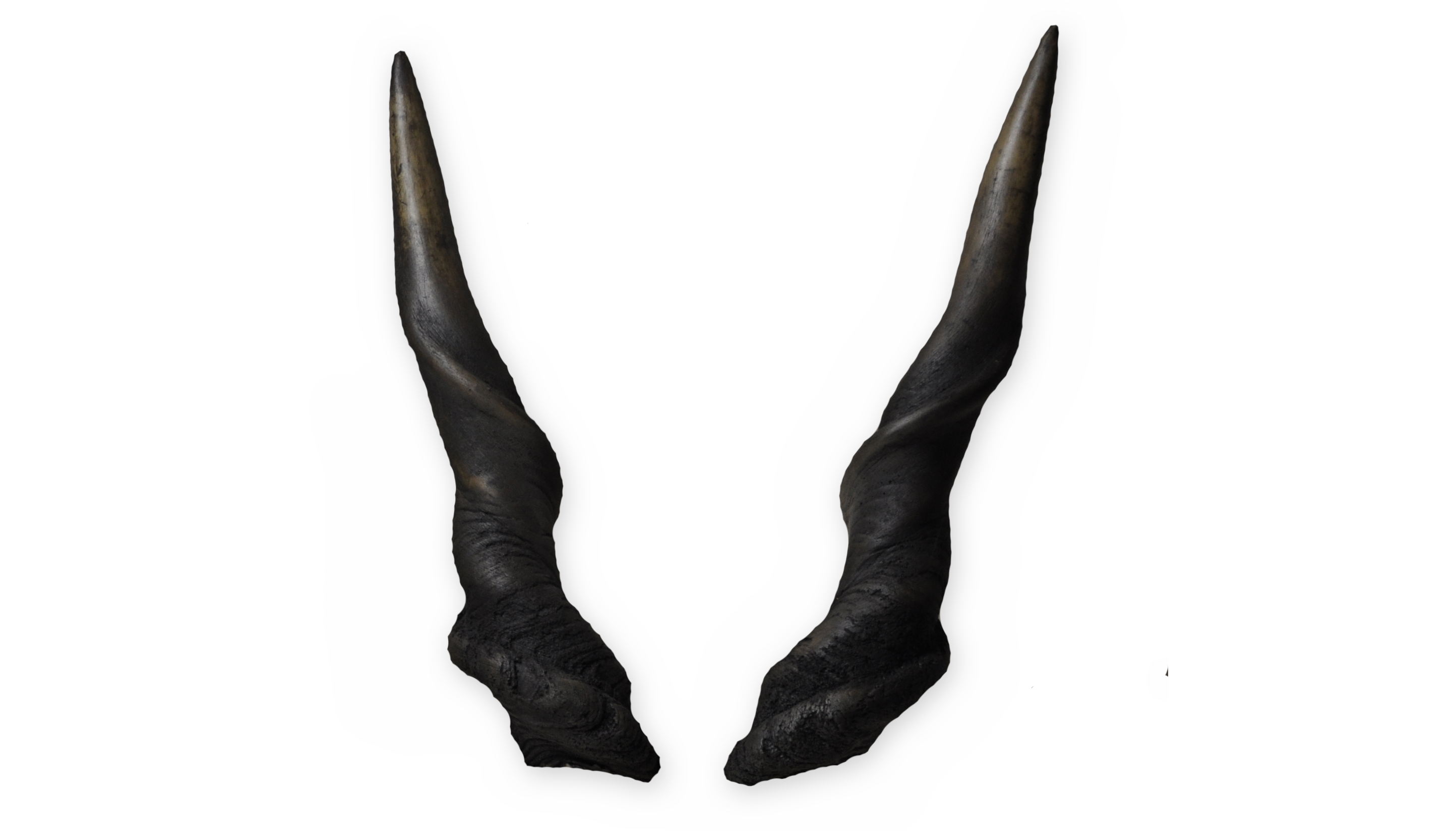 Eland Antilope 1 aus Polyurethan, 72 cm | Krampusmasken Hörner