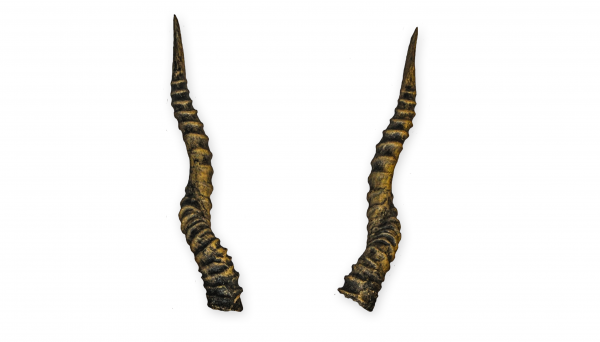 Hirschziegen Antilope 4 aus Polyurethan, 35 cm
